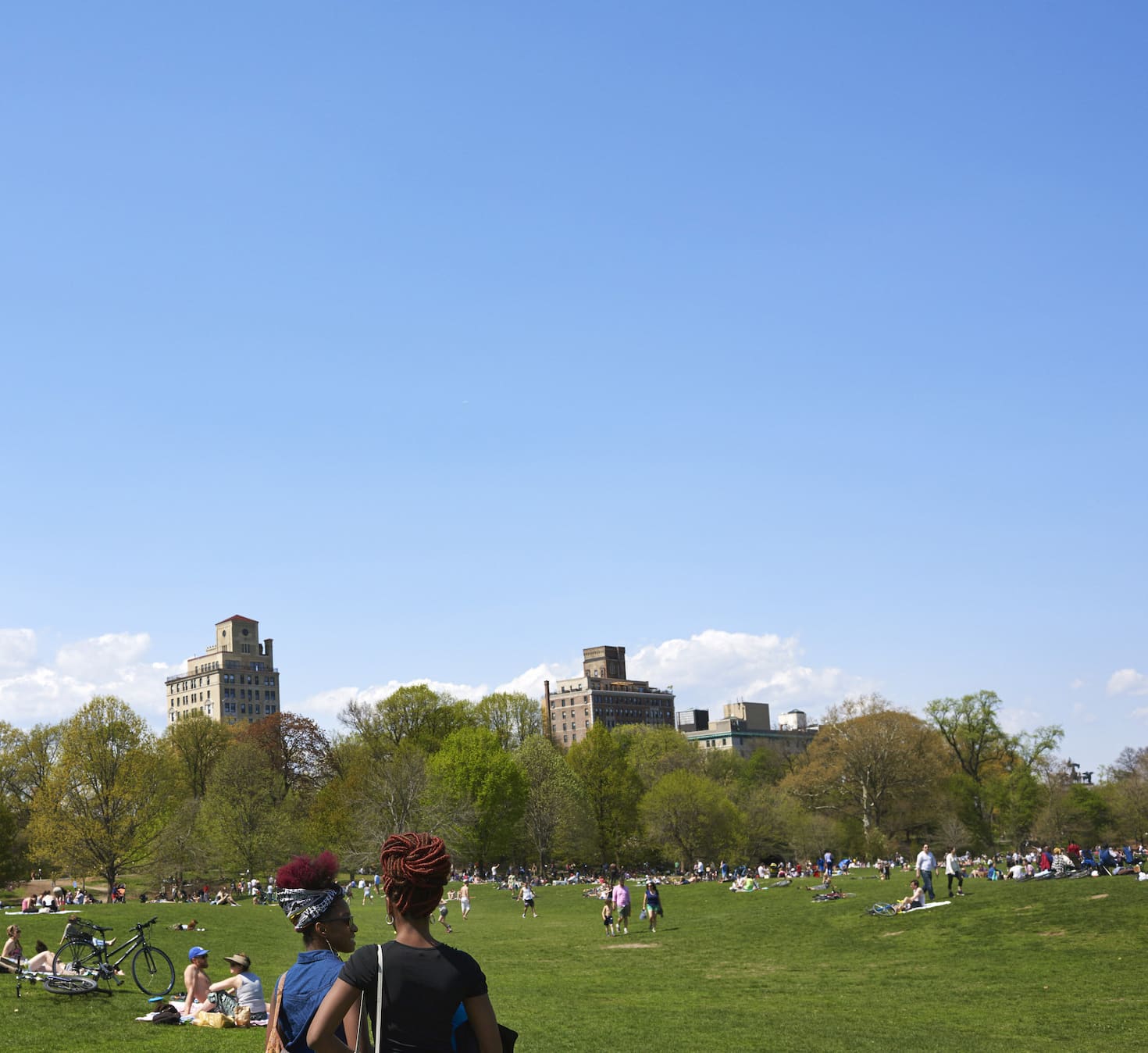 Join Prospect Park Alliance in a Summer of Stewardship + Pledge to Be a Park Champion